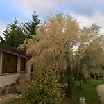 Tamerici House 3* Montecastrilli