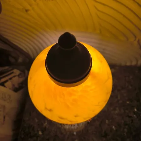 Tamerici House Гостевой дом