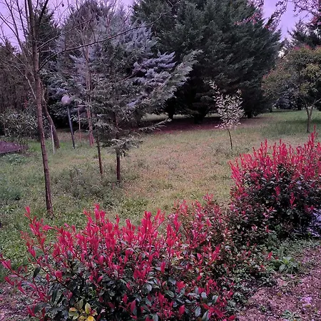 Гостевой дом Tamerici House Montecastrilli