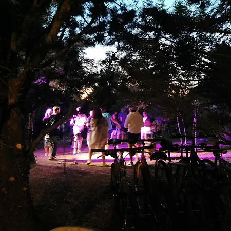 Гостевой дом Tamerici House 3*