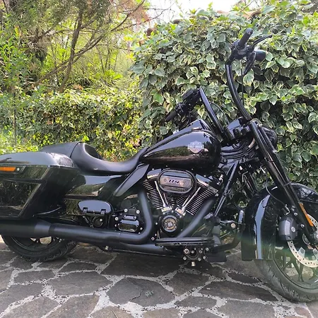 Tamerici House Montecastrilli