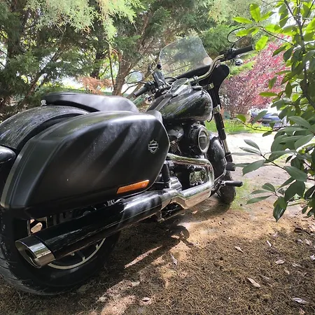 Tamerici House 3* Montecastrilli