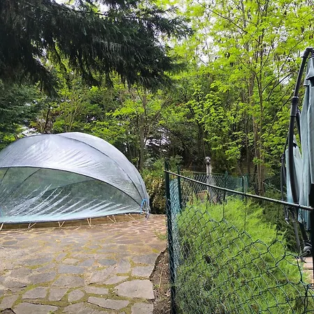 Tamerici House Гостевой дом 3*