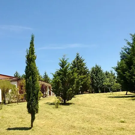 Гостевой дом Tamerici House