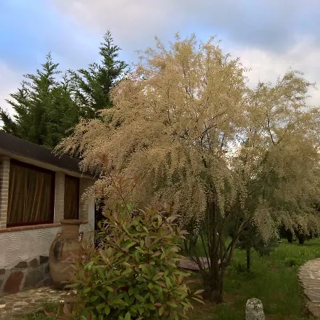 Tamerici House 3* Montecastrilli