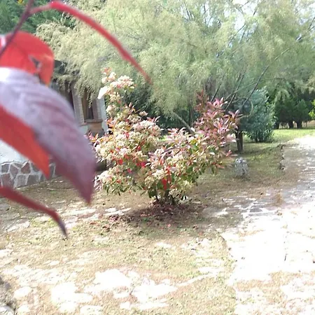 Гостевой дом Tamerici House 3*