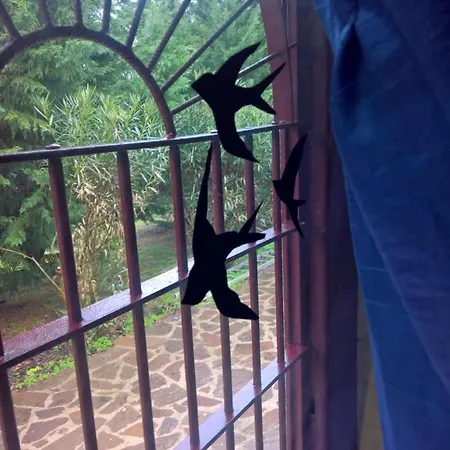 Tamerici House Guest house